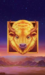 Buffalo's Sun 2